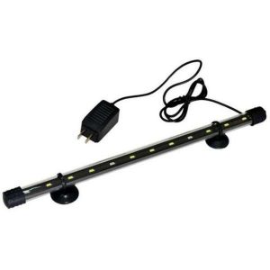 Đèn ống T4-100 trắng