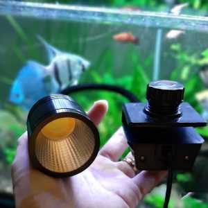 Đèn rọi vàng 5w (1 led)