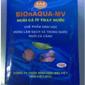 men vi sinh MAI VIỆT