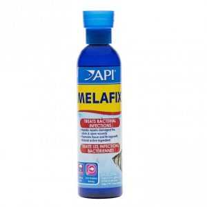 thuốc trị bệnh api MELAFIX 237ml