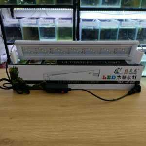 đèn gác XML- 40 (mix màu)