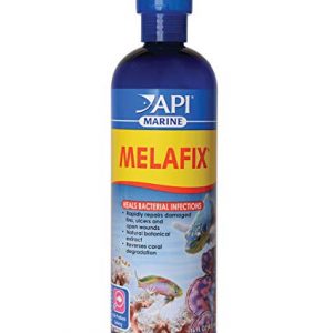 thuốc trị bệnh API MELAFIX 437ml