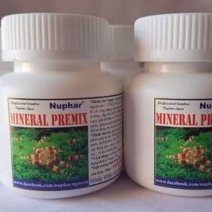 KHOÁNG TÉP mineral premix 80g