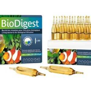 men vi sinh Prodibio Bio Digest (1 hộp)
