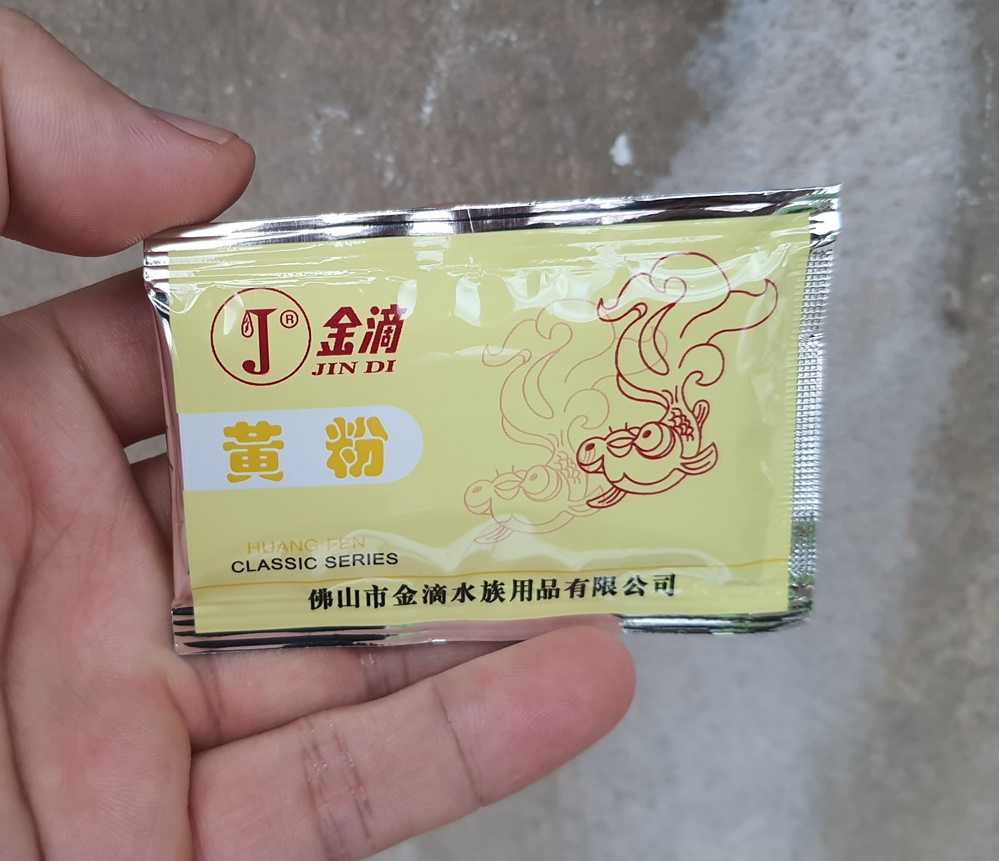 gil-vang-1